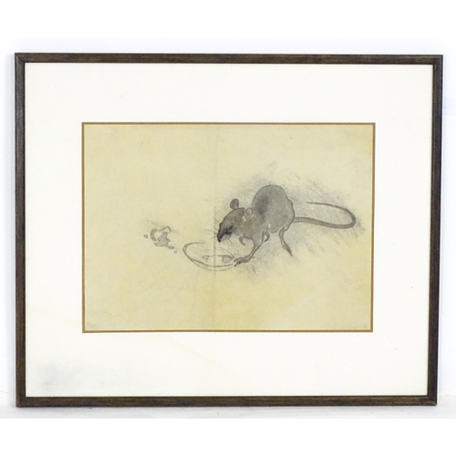 2234 - Chinese School, Watercolour and ink, A study of a rat. Approx. 9 1/4