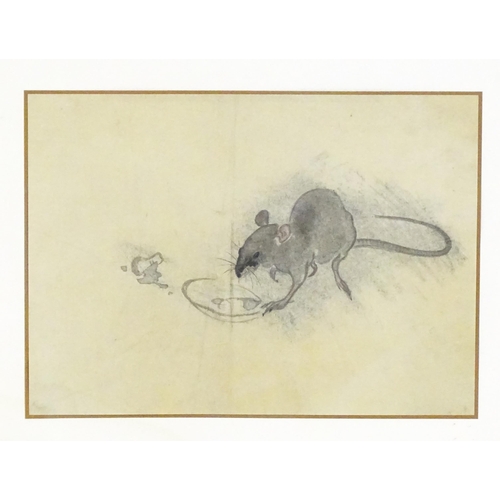 2234 - Chinese School, Watercolour and ink, A study of a rat. Approx. 9 1/4