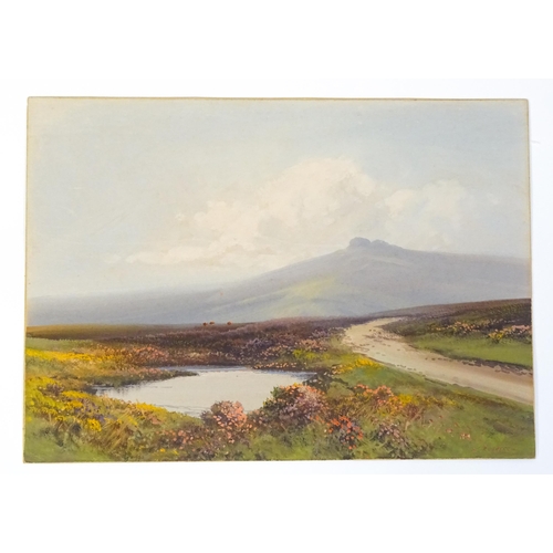 2239 - Reginald Daniel Sherrin (1891-1971), Gouache, A Dartmoor landscape. Signed lower right. Approx.  /