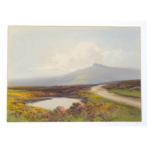 2239 - Reginald Daniel Sherrin (1891-1971), Gouache, A Dartmoor landscape. Signed lower right. Approx.  /