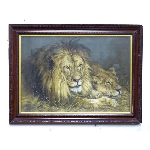 925 - A 20thC Pears print 'The British Lion'. Approx. 28