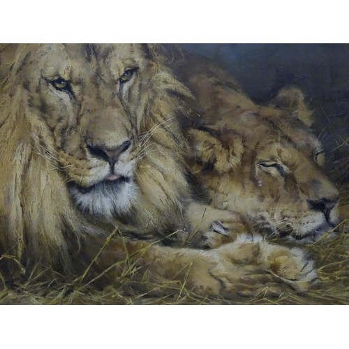 925 - A 20thC Pears print 'The British Lion'. Approx. 28