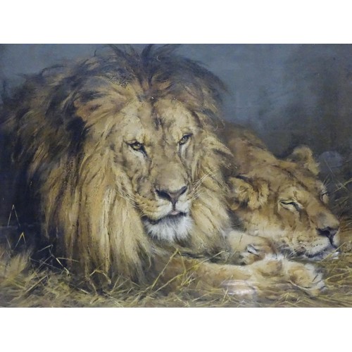 925 - A 20thC Pears print 'The British Lion'. Approx. 28