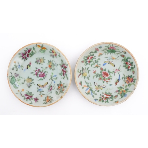 32 - Two Chinese / Cantonese plates decorated with flowers, foliage, insects and birds. Character marks u... 