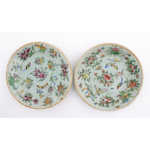 32 - Two Chinese / Cantonese plates decorated with flowers, foliage, insects and birds. Character marks u... 