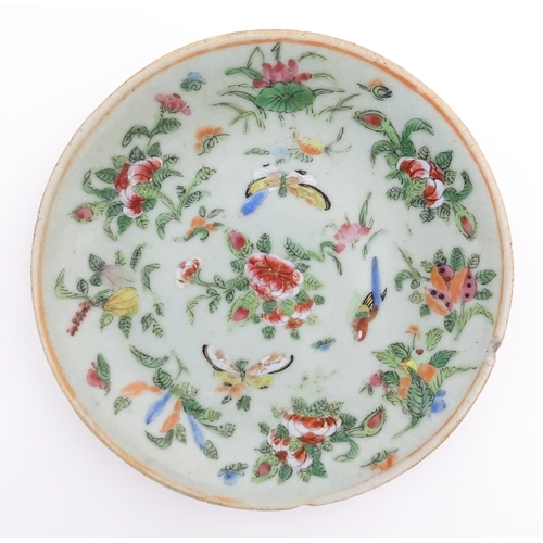 32 - Two Chinese / Cantonese plates decorated with flowers, foliage, insects and birds. Character marks u... 