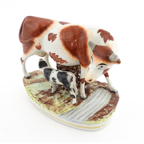 44 - A Staffordshire pottery model of a cow and calf on a naturalistic base. Approx. 7