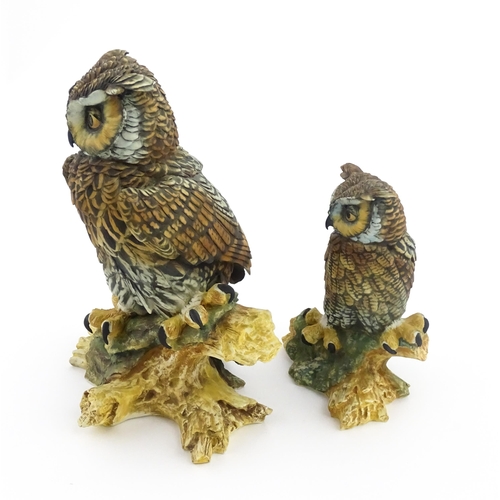 71 - Two Capodimonte models of owls each perched on a branch, both signed V. Bindi. With certificate of a... 