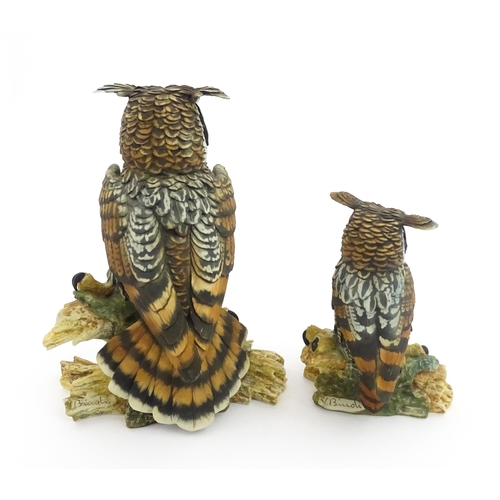 71 - Two Capodimonte models of owls each perched on a branch, both signed V. Bindi. With certificate of a... 