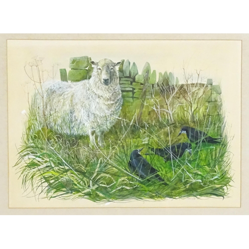 1695 - Mogg, 20th century, Acrylic & watercolour, Cotswold Mule & Rooks. Signed and dated (19)81. Approx. 1... 