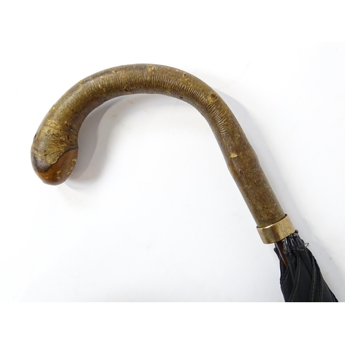 1244 - Three assorted 20thC walking sticks, to include a Scottish example with a horn handle having carved ... 