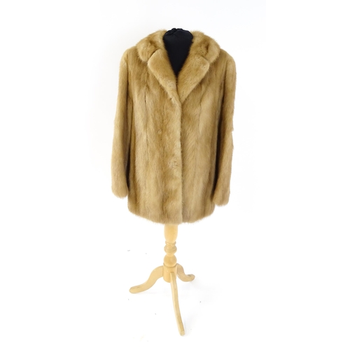 1256 - Vintage fashion / clothing: A vintage short length fur coat. Chest approx. 36