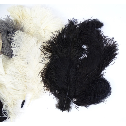 1264 - A quantity of assorted ostrich feathers, examples to include black, white, green, blue pale blue, pa... 