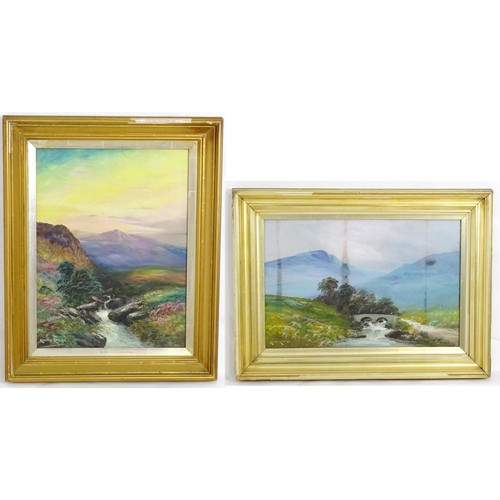 Lot 23        