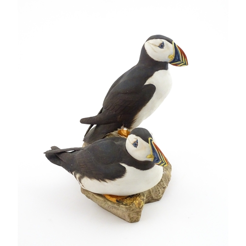 89 - A Royal Doulton limited edition bird group titled Atlantic Puffins, modelled by Robert Jefferson. Ma... 