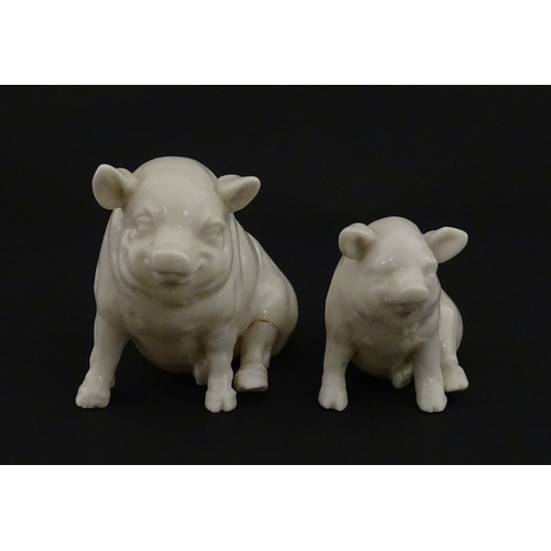 74 - Two Belleek models of seated pigs. Both marked with Second Period mark under. Largest approx. 3