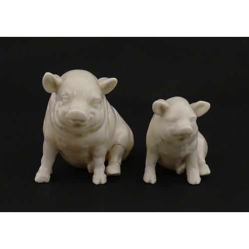 74 - Two Belleek models of seated pigs. Both marked with Second Period mark under. Largest approx. 3