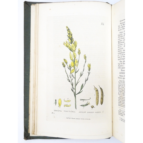 1813 - Books: British Phaenogamous Botany or figures and descriptions of the genera of British Flowering Pl... 