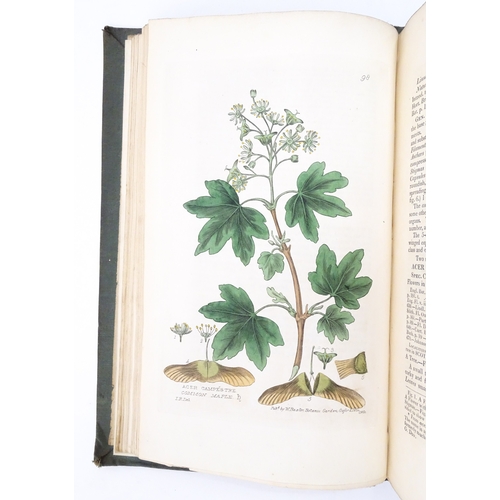 1813 - Books: British Phaenogamous Botany or figures and descriptions of the genera of British Flowering Pl... 