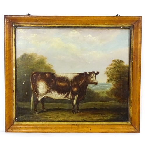 19th century, Oil on canvas, A naive portrait of a prize cow in a landscape. Approx. 19 1/2" x 23 1/2"