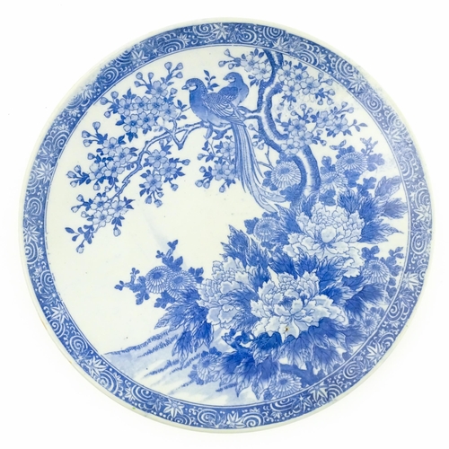 Lot 15        
