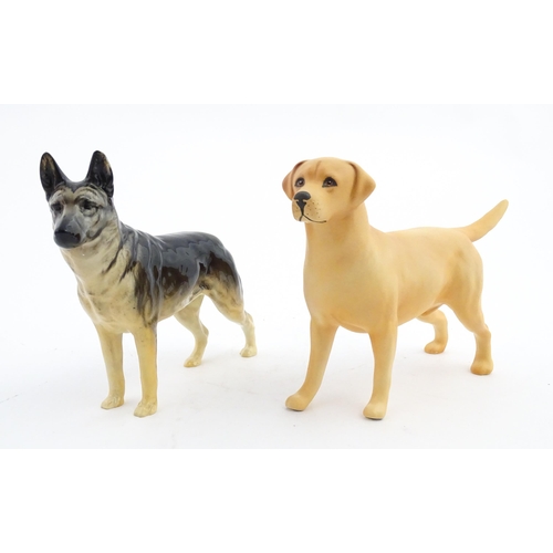 118 - Two Beswick models of dogs comprising a German Shepherd CH Ulrica of Brittas, and a Golden Labrador ... 
