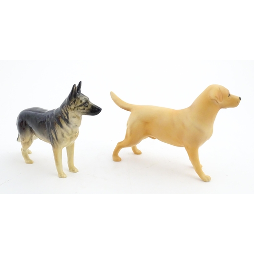 118 - Two Beswick models of dogs comprising a German Shepherd CH Ulrica of Brittas, and a Golden Labrador ... 