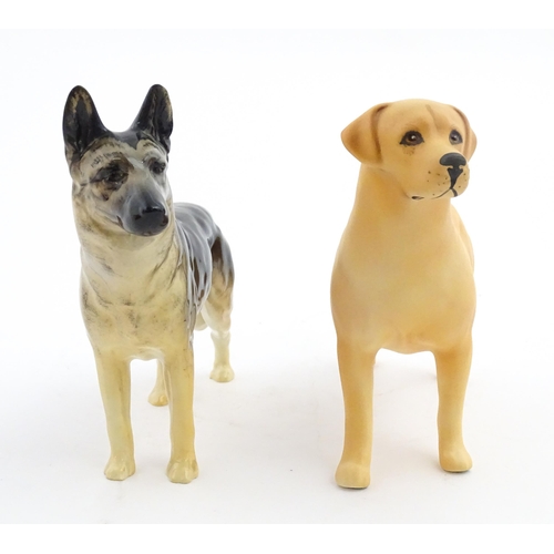 185 - Two Beswick models of dogs comprising a German Shepherd CH Ulrica of Brittas, and a Golden Labrador ... 