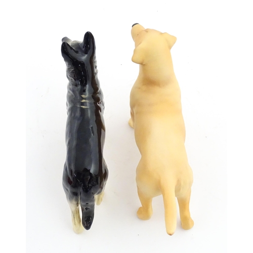 185 - Two Beswick models of dogs comprising a German Shepherd CH Ulrica of Brittas, and a Golden Labrador ... 