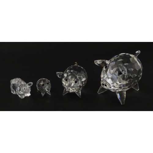 304 - Four Swarovski crystal models of pigs. Largest approx. 2 3/4