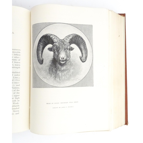 2061 - Book: Sport with Gun and Rod in American Woods and Waters, edited by Alfred M. Mayer. Published by F... 