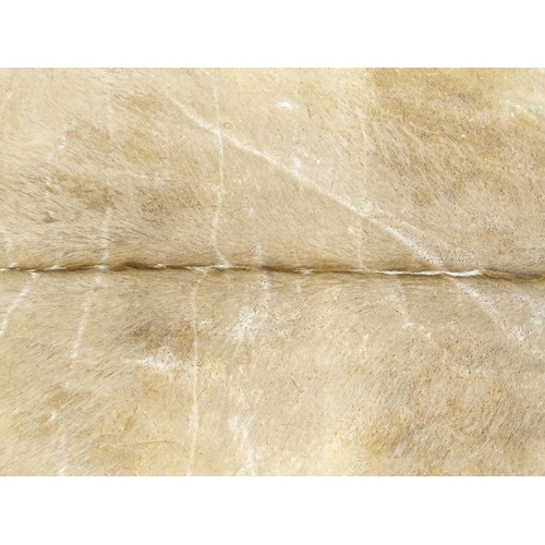 1322 - Taxidermy: a late 20thC Kudu hide. Approx. 81