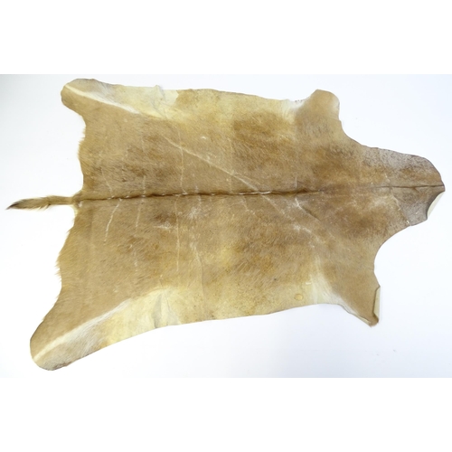 1322 - Taxidermy: a late 20thC Kudu hide. Approx. 81