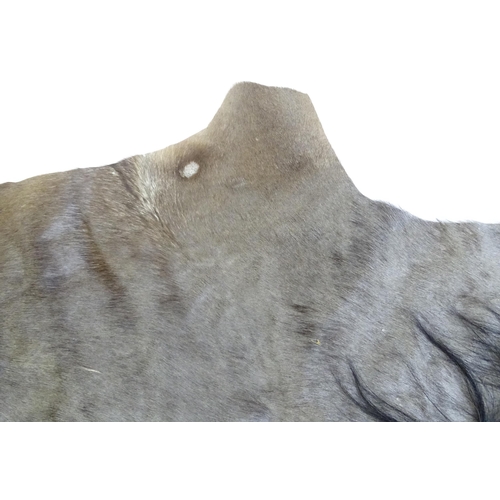 1323 - Taxidermy: a late 20thC Blue Wildebeest hide, approx 102