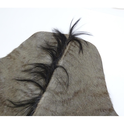 1323 - Taxidermy: a late 20thC Blue Wildebeest hide, approx 102