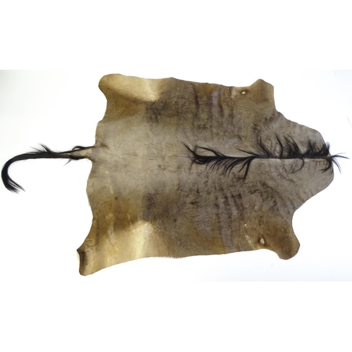 1323 - Taxidermy: a late 20thC Blue Wildebeest hide, approx 102