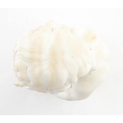 1224 - An Italian alabaster sculpture modelled as a seated child reading a book, after C. Ghilli. Approx. 1... 