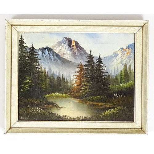 Lot 54        