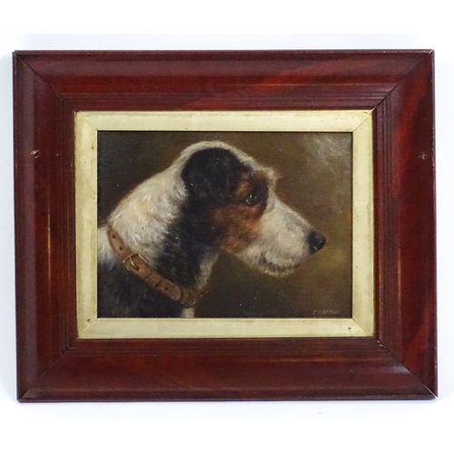 Edward Aistrop (act. 1880-1920), Oil on board, A dog portrait depicting Champion Fox Terrier Meersbrook Bristles. Signed lower right and titled verso. Approx. 7" x 9 1/2"