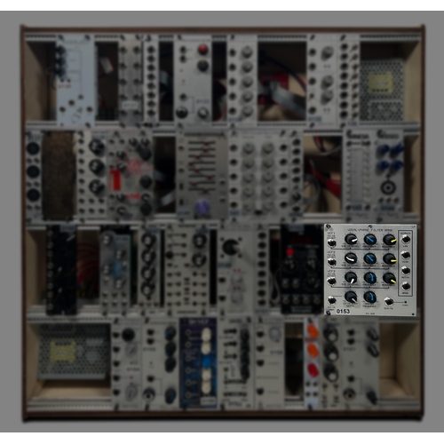 153 - Analogue Systems RS-360 Vocal / Phase filter bank

(A) From a working modular rig, functions general... 