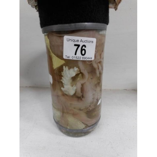 76 - A preserved octopus in a jar