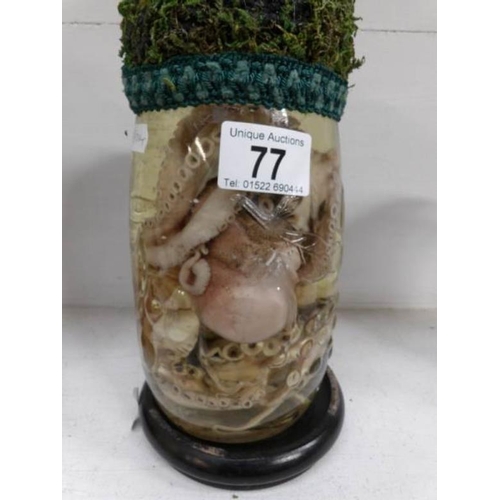 77 - A preserved octopus in a jar