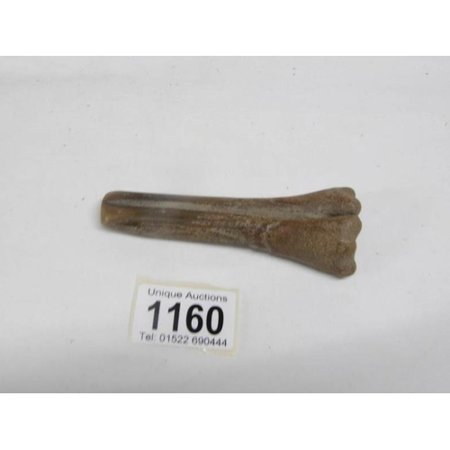 1160 - A 19th century bone feeder