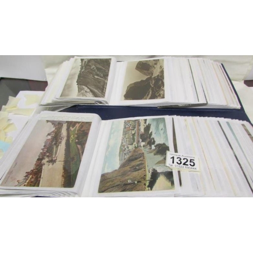 1325 - In excess of 220 postacards in 2 albums (including small quantity of modern postcards) featuring ske... 