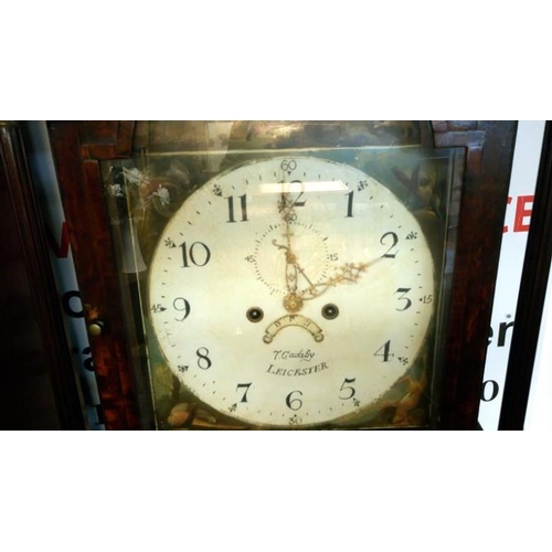 681 - An oak cased 8 day Grandfather clock with painted dial by T Gadsby, Leicester