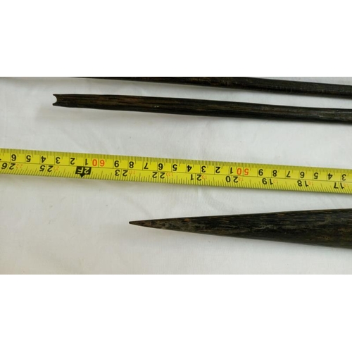 558 - A quantity of 1920's/30's ethnographic heavy palm wood tribal weapons including long bow, club spear... 