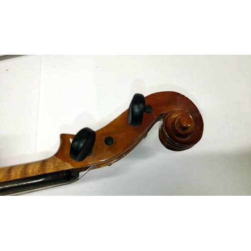 513 - A violin & 2 bows in case, label reads 'Piena student violin, model Antonius Stradivarius