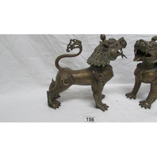 158 - A pair of bronze incense burners in the form of Dogs of Foo