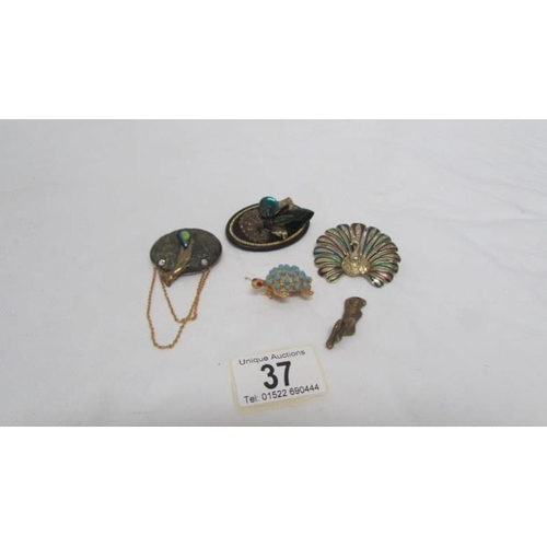 37 - 4 brooches and one other item