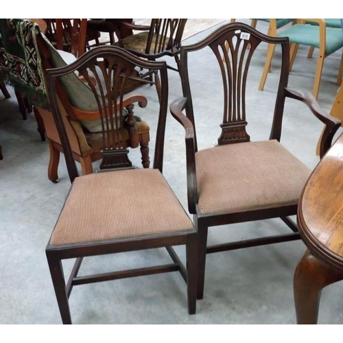 615 - 5 Edwardian Sheraton style dining chairs